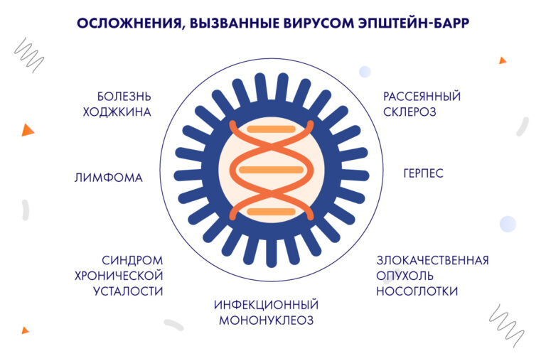 Эпштейна барр вэб. Строение вируса Эпштейна-Барр. Вэб вирус Эпштейна Барр. Строение вируса вэб